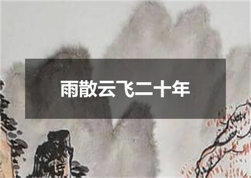 雨散云飞二十年
