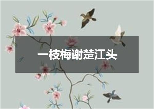 一枝梅谢楚江头