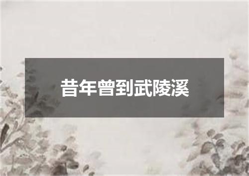 昔年曾到武陵溪