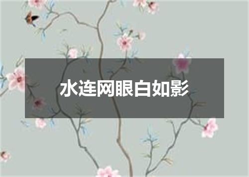 水连网眼白如影