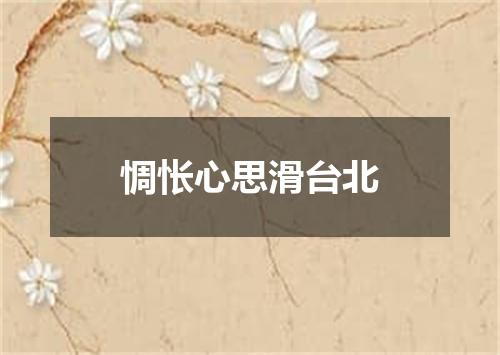 惆怅心思滑台北