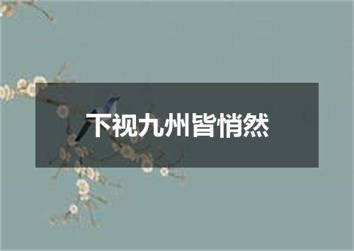 下视九州皆悄然