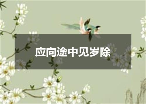 应向途中见岁除