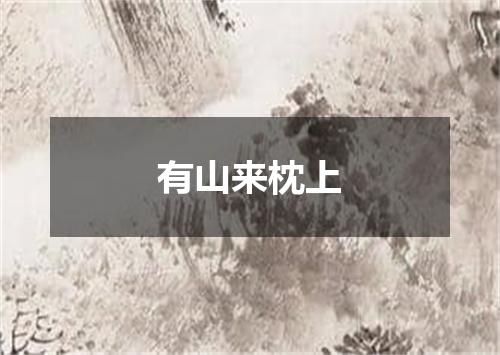 有山来枕上