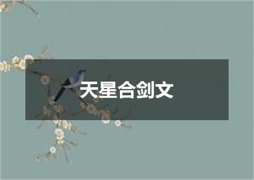 天星合剑文