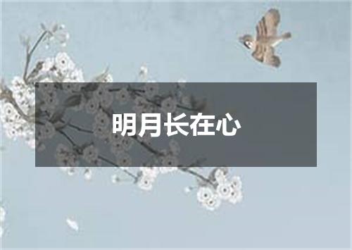 明月长在心