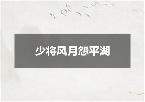 少将风月怨平湖