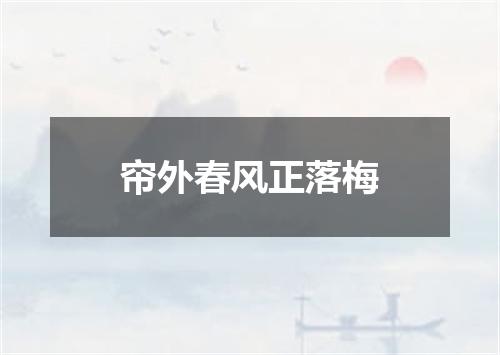 帘外春风正落梅