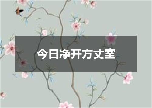 今日净开方丈室