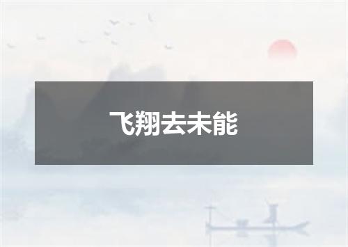 飞翔去未能