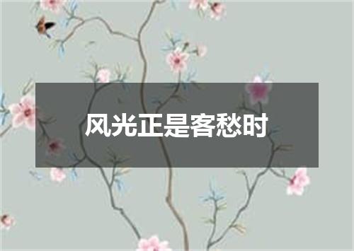 风光正是客愁时