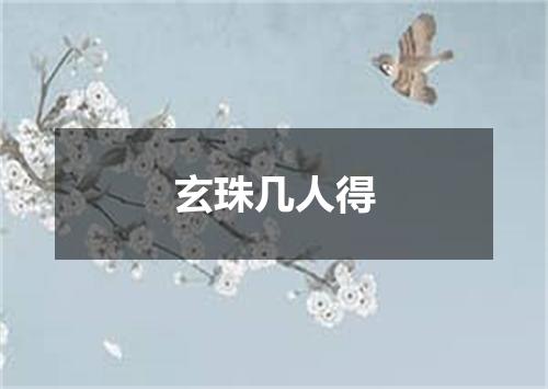 玄珠几人得