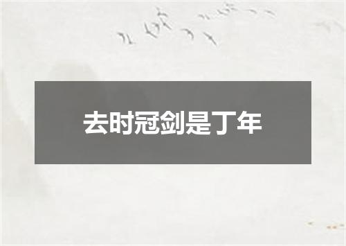 去时冠剑是丁年