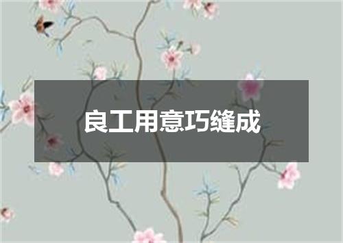 良工用意巧缝成