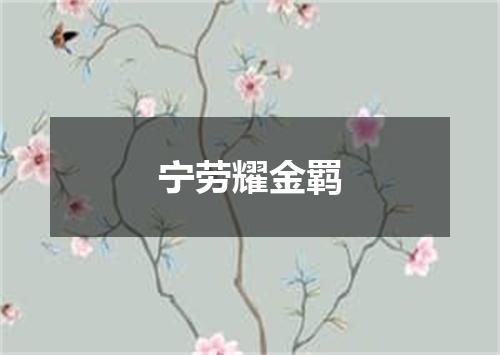 宁劳耀金羁