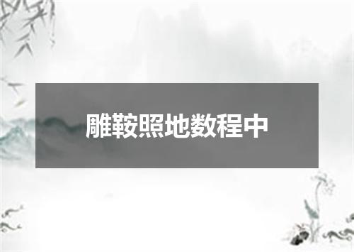 雕鞍照地数程中