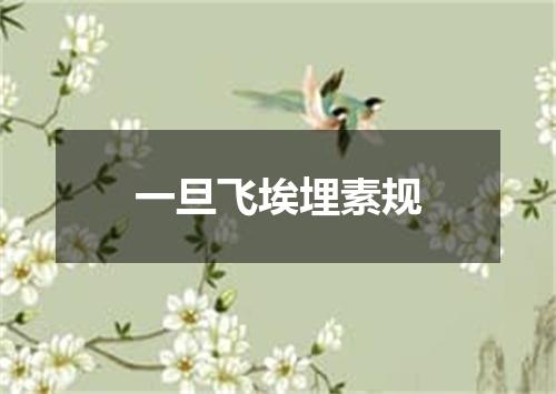 一旦飞埃埋素规