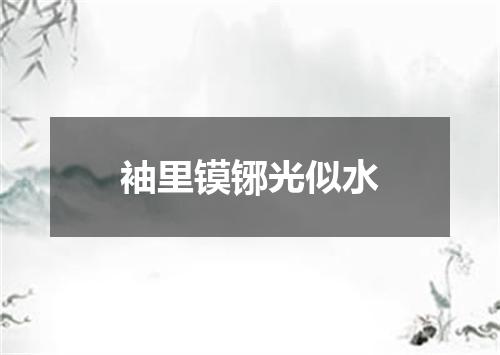 袖里镆铘光似水