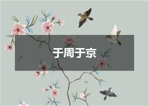 于周于京