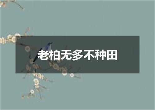 老柏无多不种田