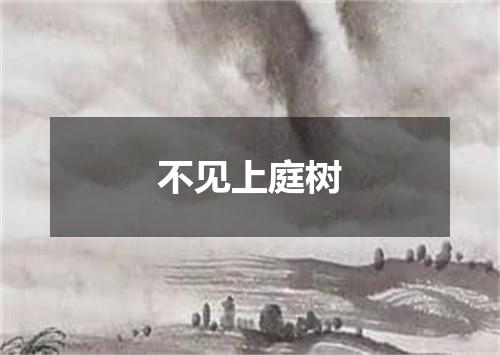 不见上庭树