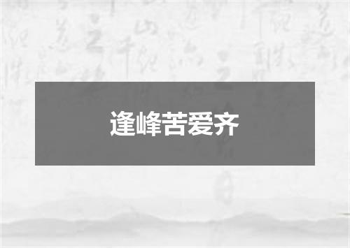 逢峰苦爱齐