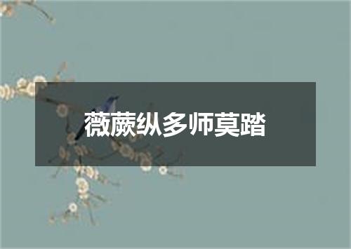 薇蕨纵多师莫踏