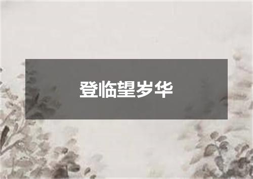 登临望岁华