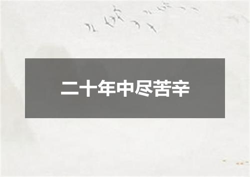 二十年中尽苦辛