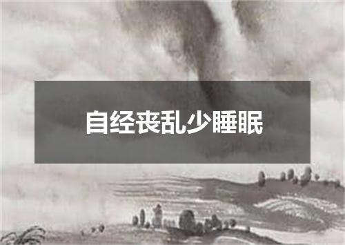 自经丧乱少睡眠