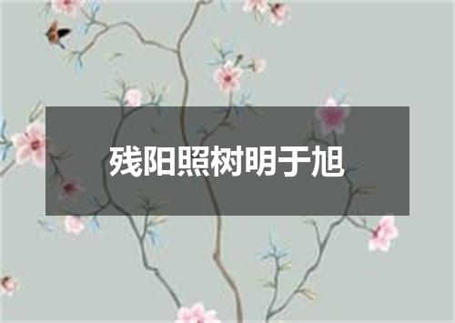 残阳照树明于旭