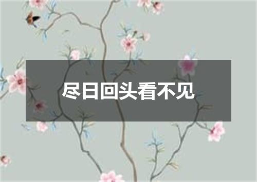 尽日回头看不见