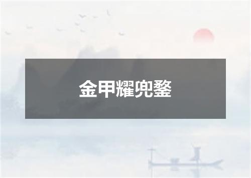 金甲耀兜鍪
