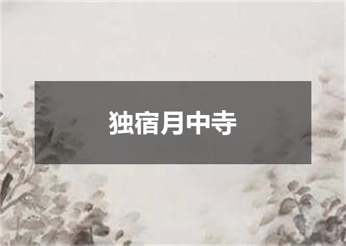独宿月中寺