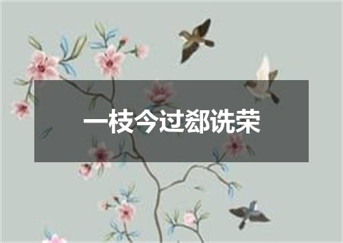 一枝今过郄诜荣
