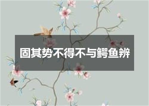 固其势不得不与鳄鱼辨