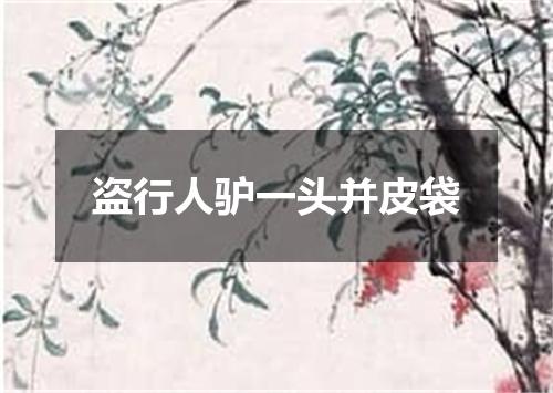 盗行人驴一头并皮袋