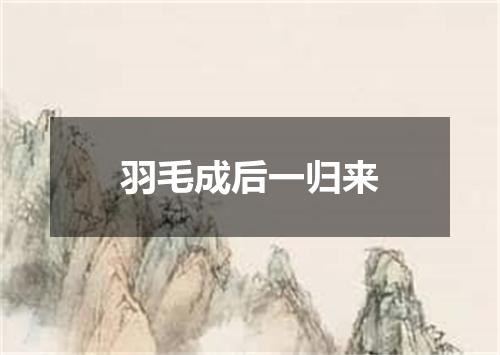 羽毛成后一归来