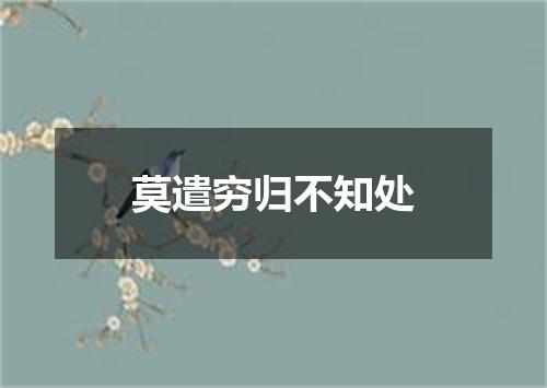 莫遣穷归不知处