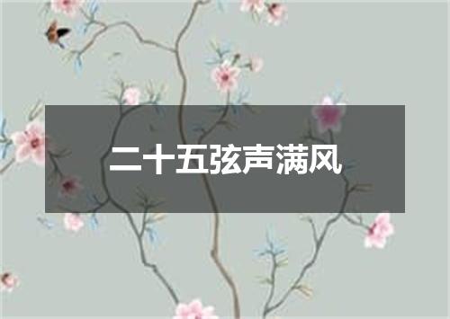 二十五弦声满风