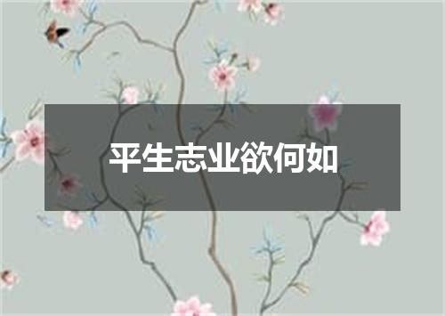 平生志业欲何如