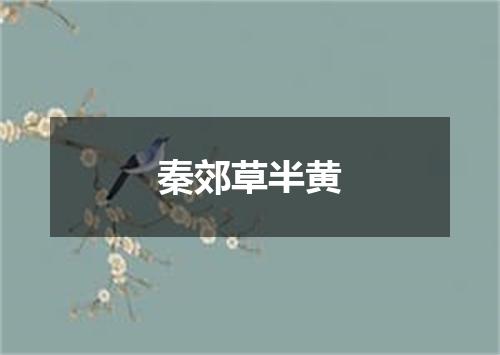 秦郊草半黄
