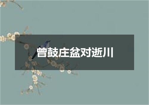 曾鼓庄盆对逝川
