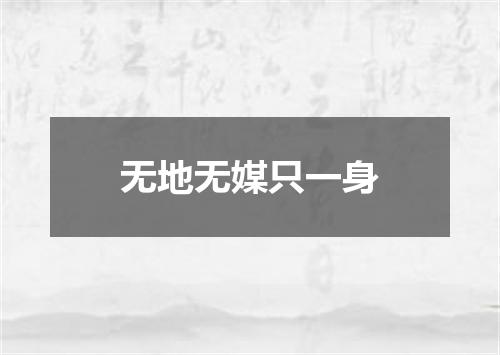 无地无媒只一身