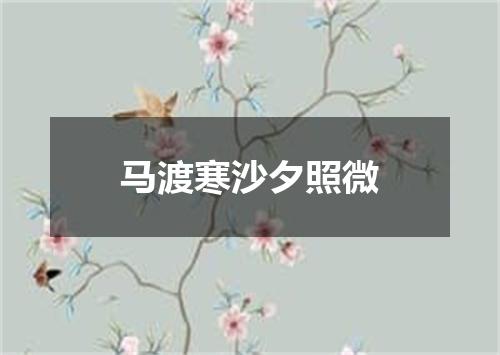 马渡寒沙夕照微