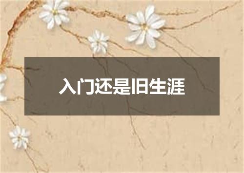 入门还是旧生涯