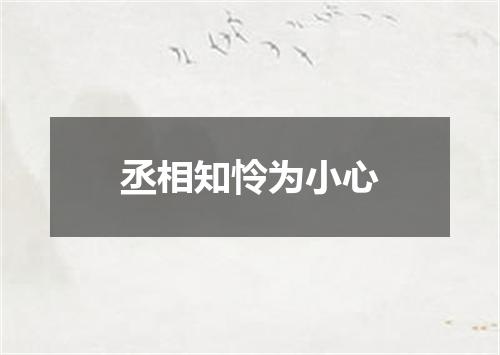 丞相知怜为小心