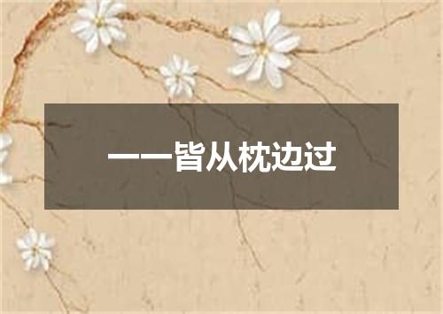 一一皆从枕边过