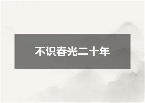 不识春光二十年
