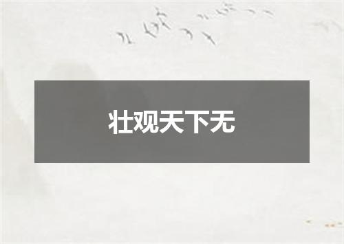 壮观天下无